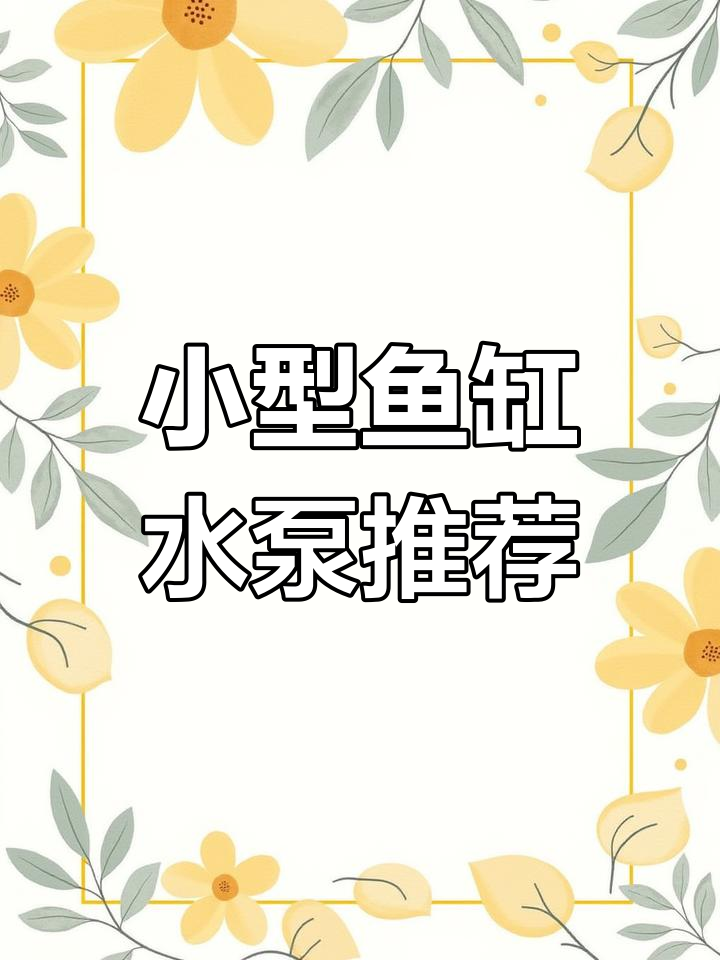 水族箱水泵选择指南:适合小型观赏鱼的水泵