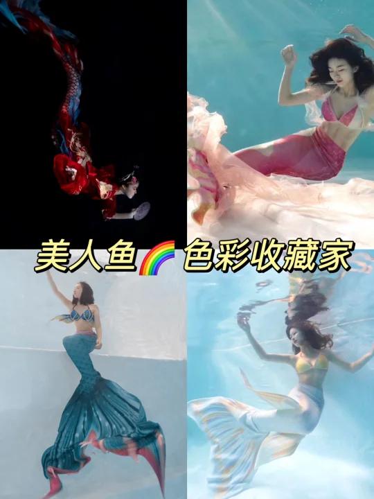 美人鱼7种颜色鱼尾|哪一款心动了