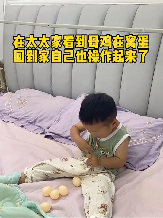 在太太家看到老母鸡孵小鸡了,回来后就要学着孵小鸡萌娃搞笑日常调皮捣蛋的小家伙这操作也是没谁