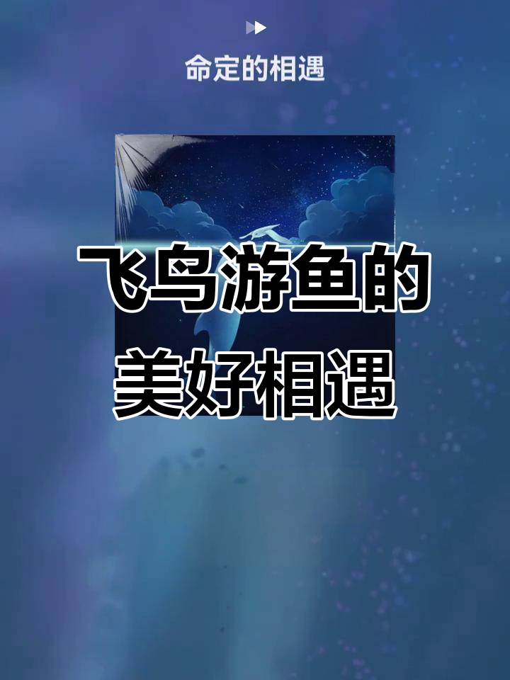 飞鸟与游鱼的美丽邂逅,自然界的和谐共舞