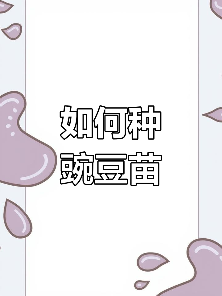 豌豆苗种植与喂食技巧