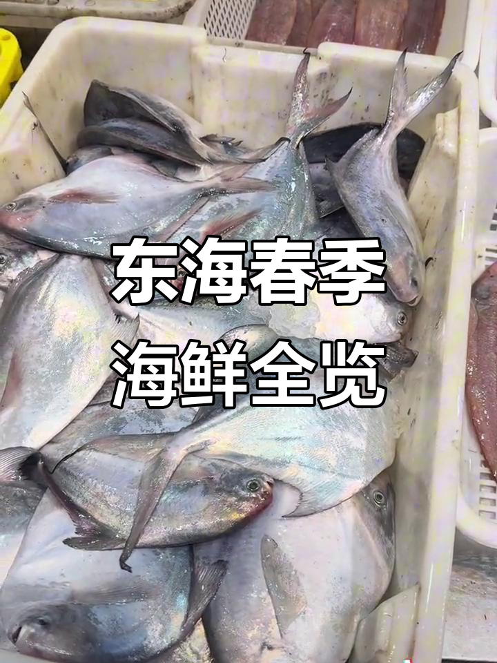 3月春季东海海鲜大赏：玉兔鱼海鳌虾小黄鱼