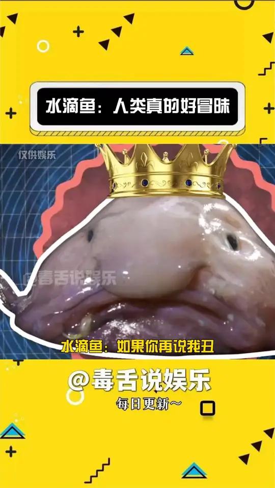 水滴鱼:你们人类真的有点冒昧了!