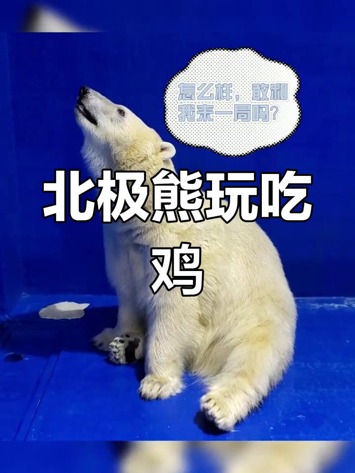 北极熊带你吃鸡,雪地吉利服+伏击技巧轻松制胜