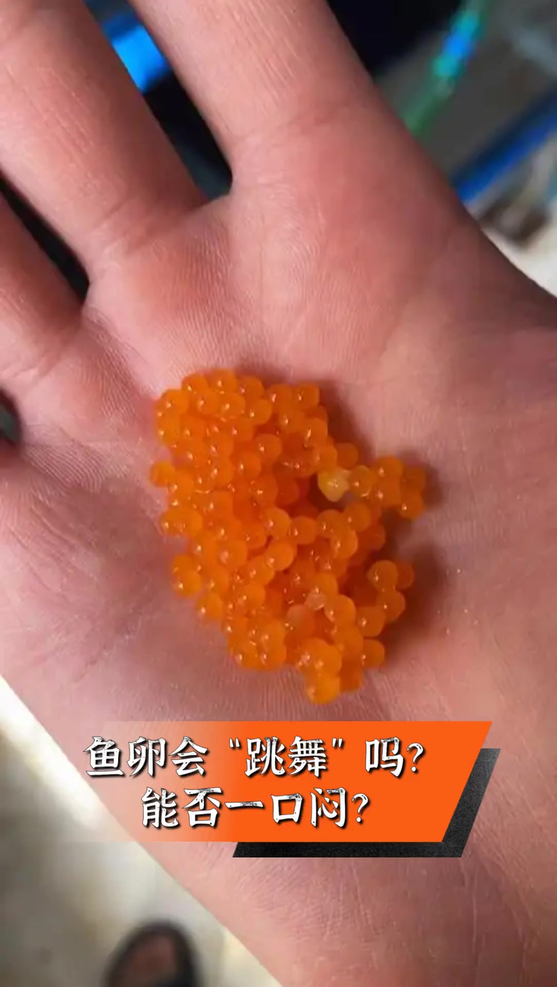 鱼卵会“跳舞”吗?能否一口闷?