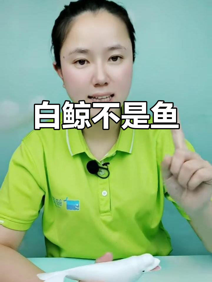白鲸真的是鱼吗?揭秘哺乳动物与鱼的差别