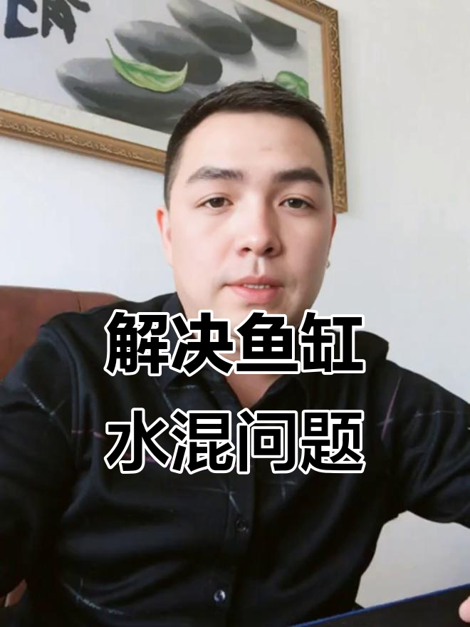 鱼缸水浑?三种原因及解决方法全解析
