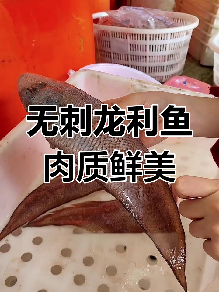 龙利鱼无刺嫩滑,清蒸红烧皆宜