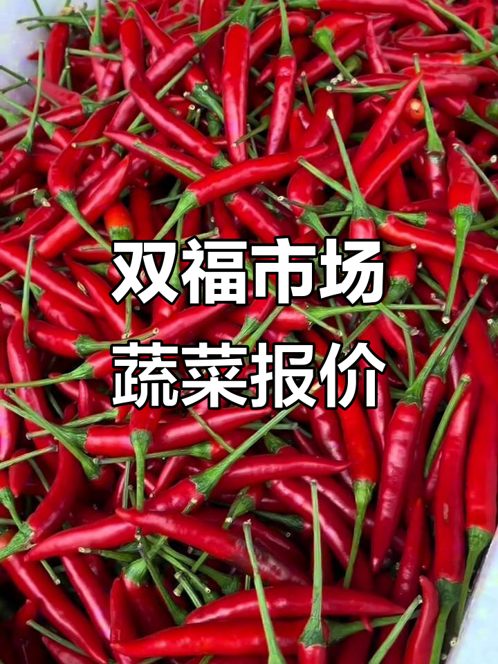 重庆双福农贸市场蔬菜价格每日更新,六月十三日行情一览