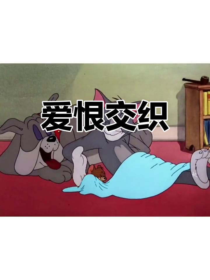 汤姆与杰瑞的爱情纠葛,相爱相杀,无法抗拒的CP感!
