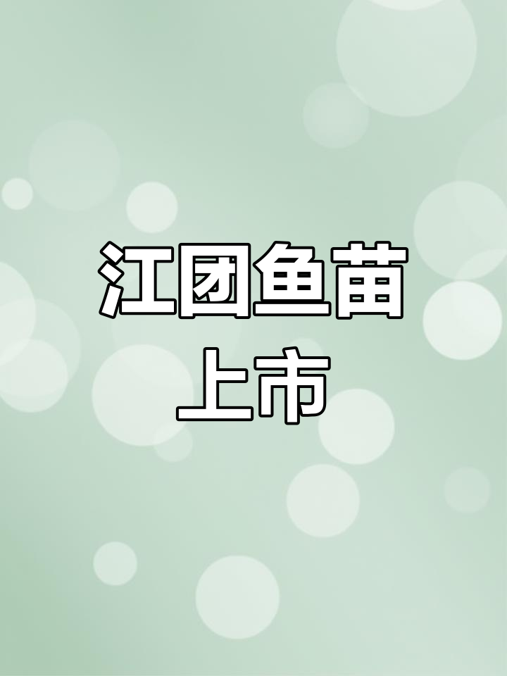 江团鱼苗热销,普通池塘也能养殖!