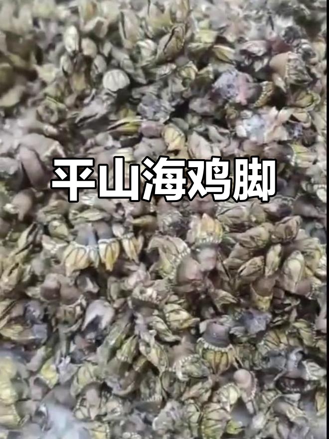 惠东平山海鸡脚,美味不容错过