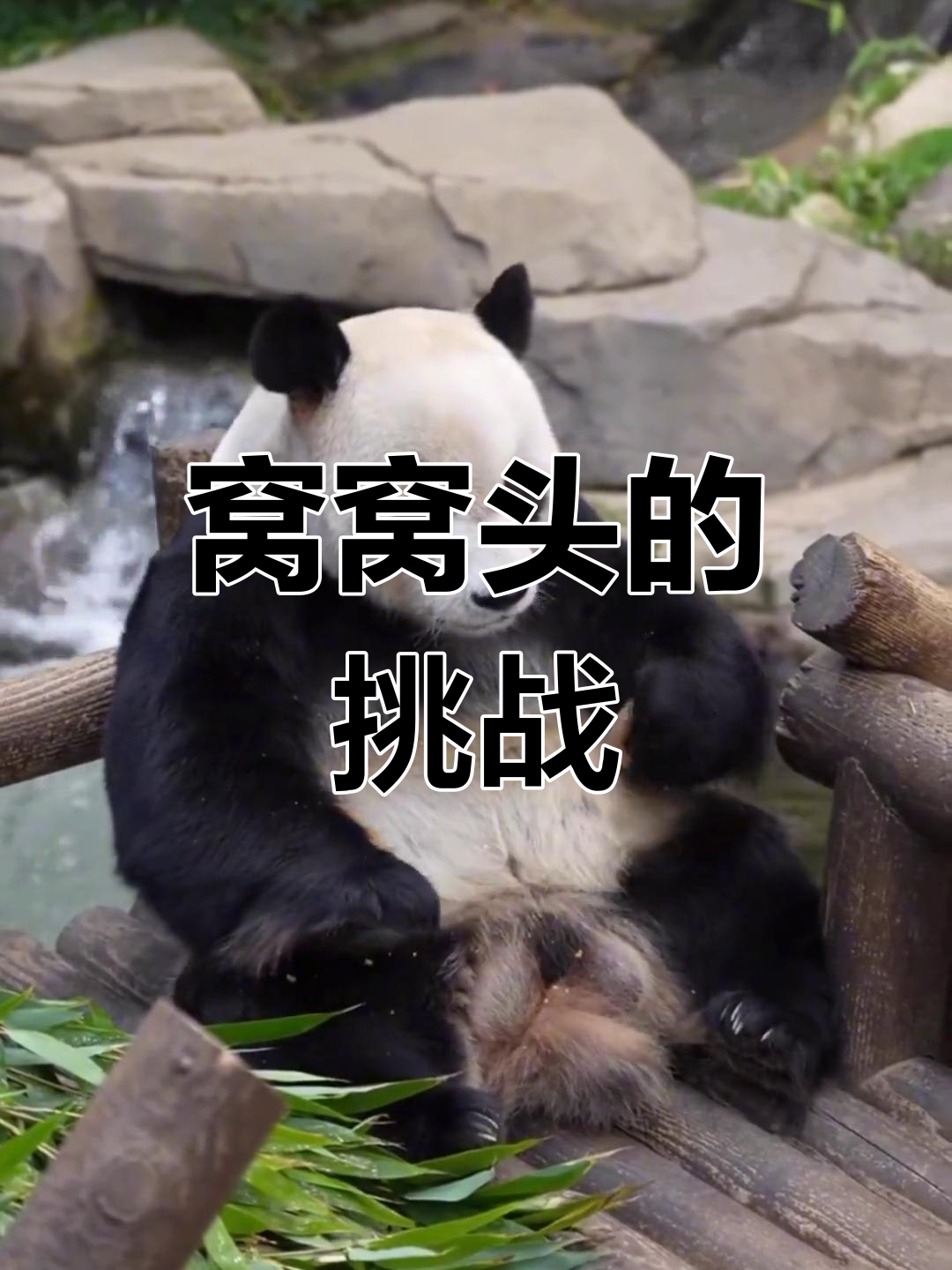 乐宝挑战窝窝头,表情夸张到不行!