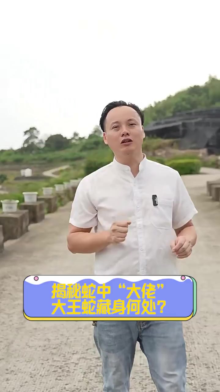揭秘蛇中“大佬”,大王蛇藏身何处?