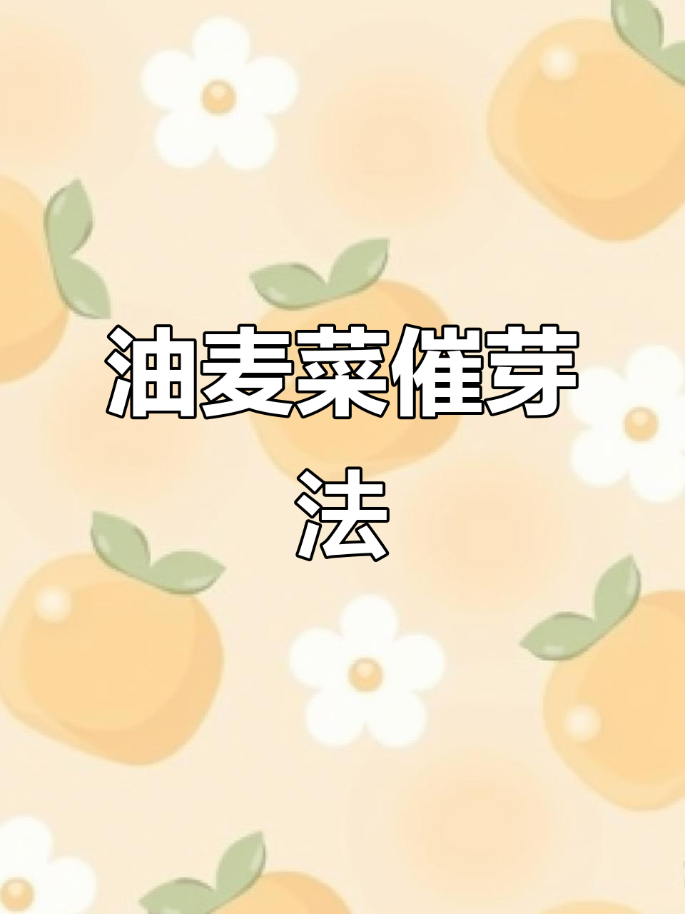 油麦菜种子冰箱催芽,泡水后冷藏一天,第二天全发芽了!