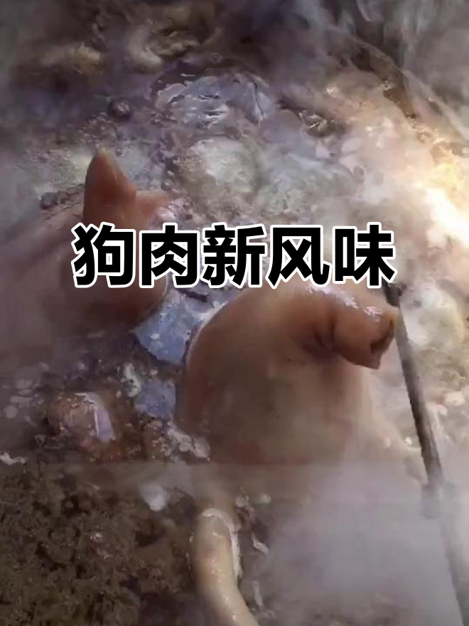 福星城狗肉,新鲜煮制,口感绝佳,顾客评价超高!