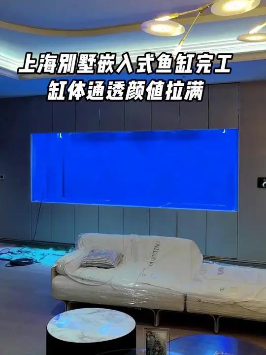 上海别墅嵌入式鱼缸完工，缸体通透颜值拉满，猜猜里面会养什么鱼