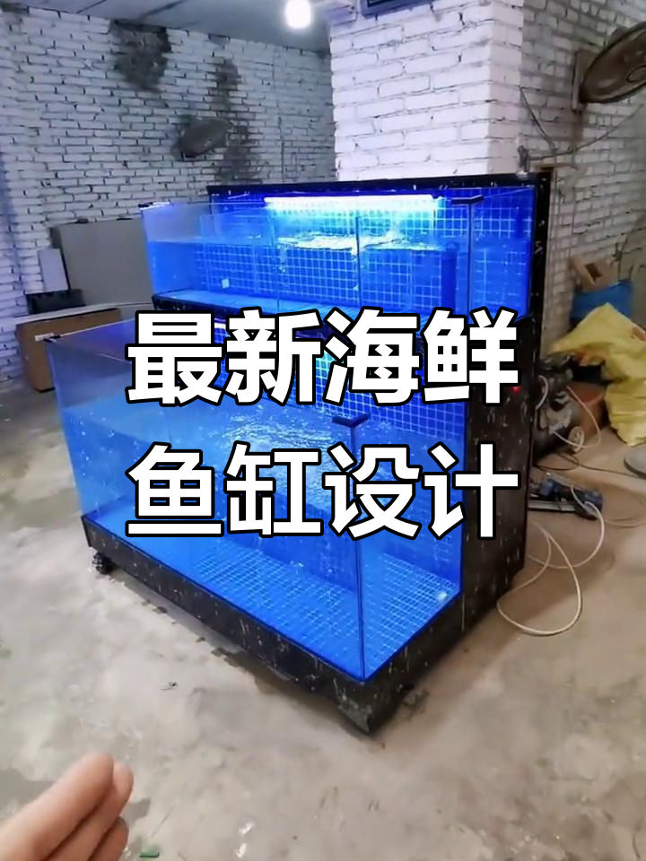 三款创意海鲜鱼缸设计,适合饭店使用