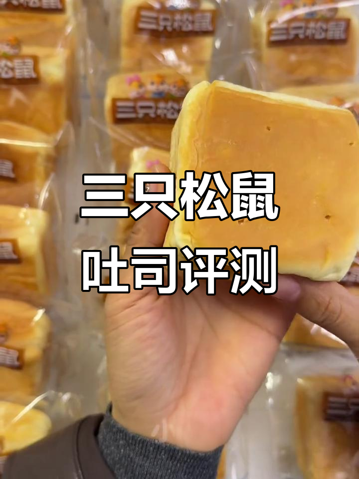 三只松鼠水牛乳千层吐司测评，真实口感大揭秘