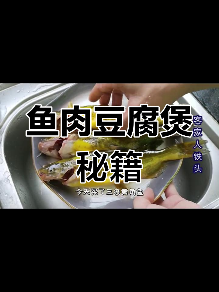 两天不吃就馋,鱼肉豆腐煲秘诀大公开,简单又美味!
