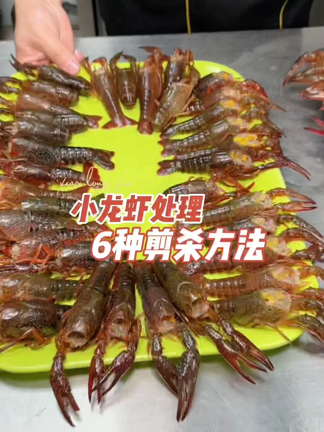 全国各地剪杀处理小龙虾的6种方法