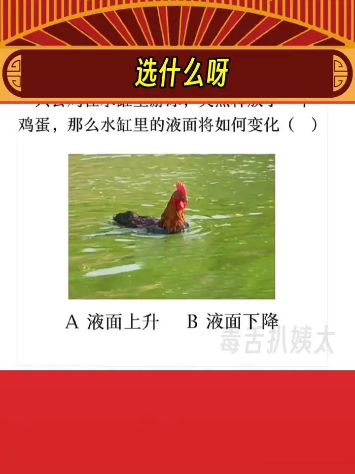 我真的母鸡呀