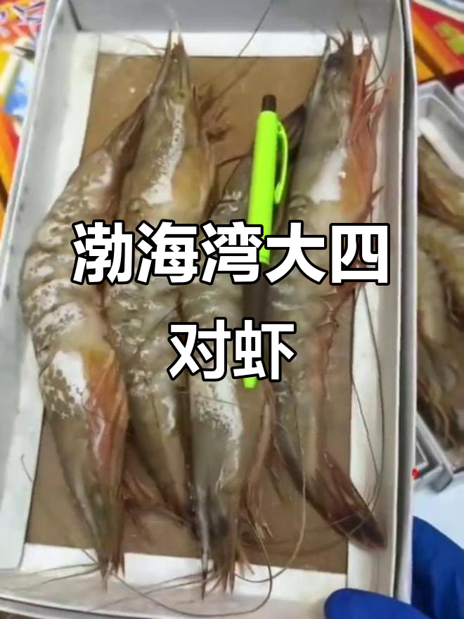 渤海湾野生大对虾,鲜美无比,营养丰富