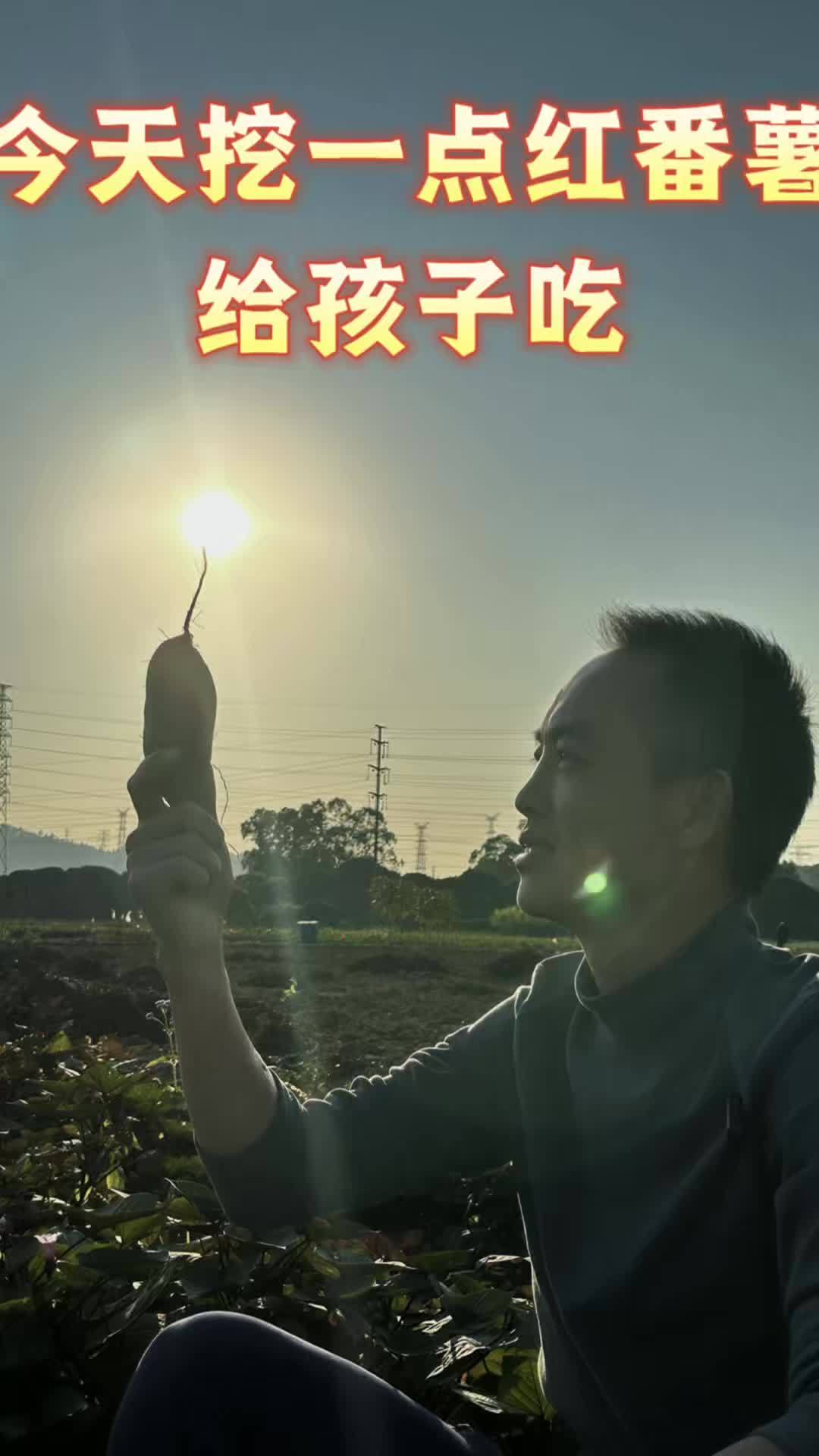 沉浸式体验挖一点红番薯,找回小时候吃煎番薯片的味道!#红薯片 #挖红薯 #一点红番薯 #地