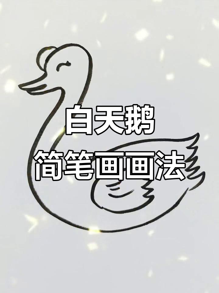 白天鹅简笔画教程,轻松学会画优雅天鹅