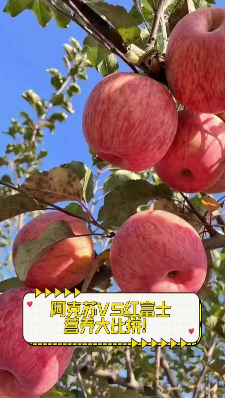 阿克苏VS红富士,营养大比拼!