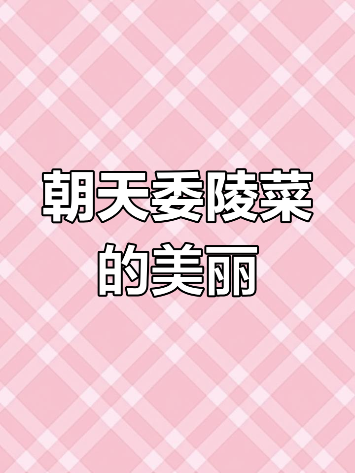 探秘朝天委陵菜:自然之美尽显