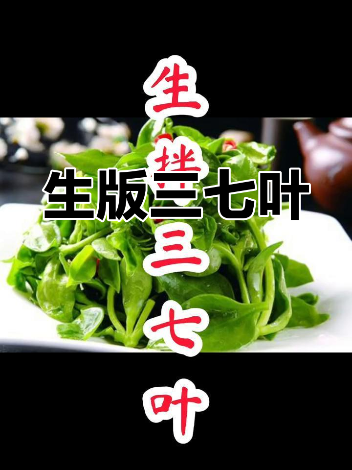 健康养生:生拌三七叶,清爽又减肥