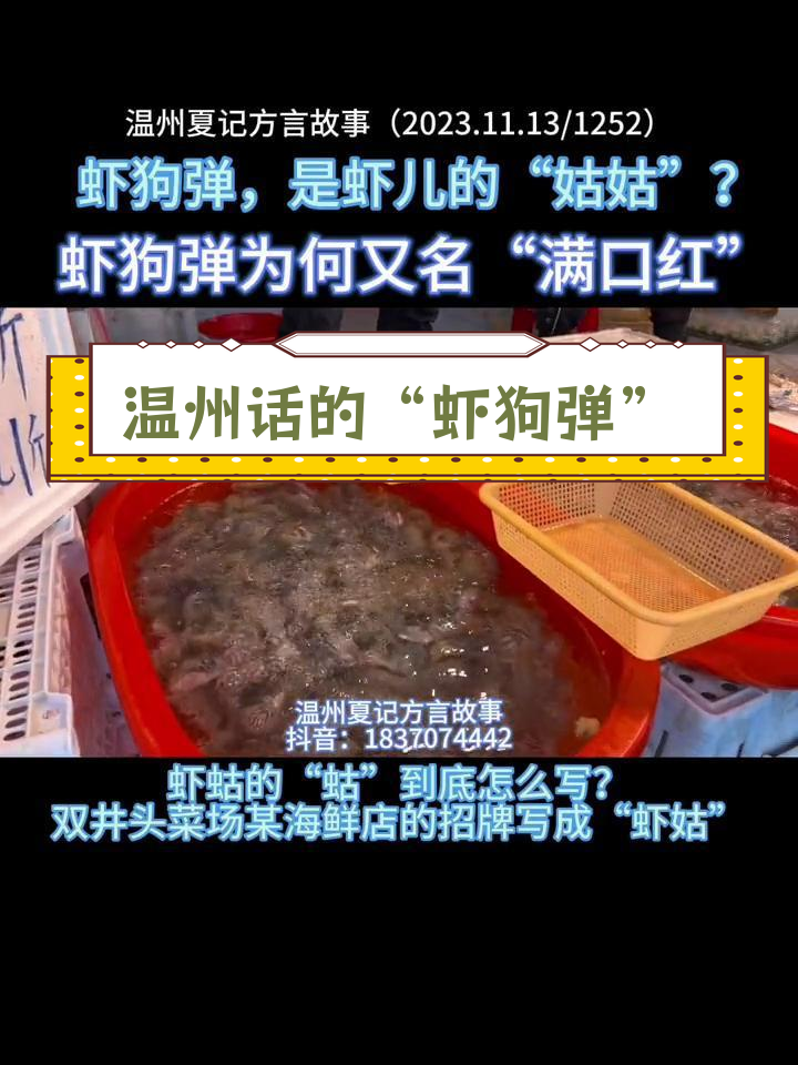 温州方言中的虾狗弹与满口红