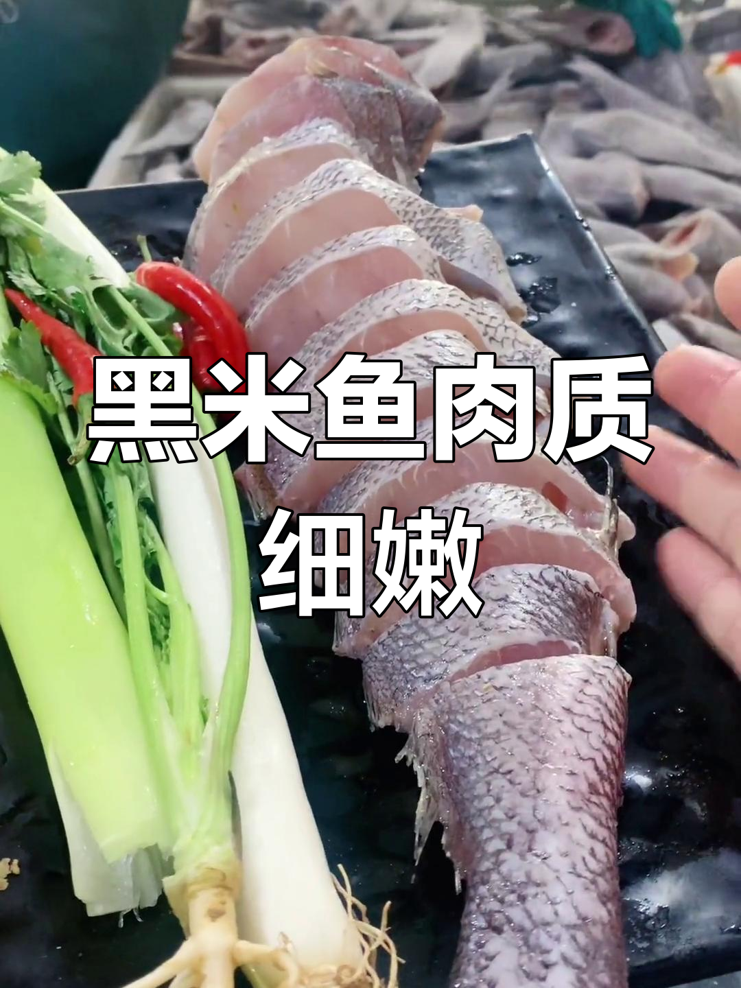 江苏连云港特产黑米鱼,肉质鲜美