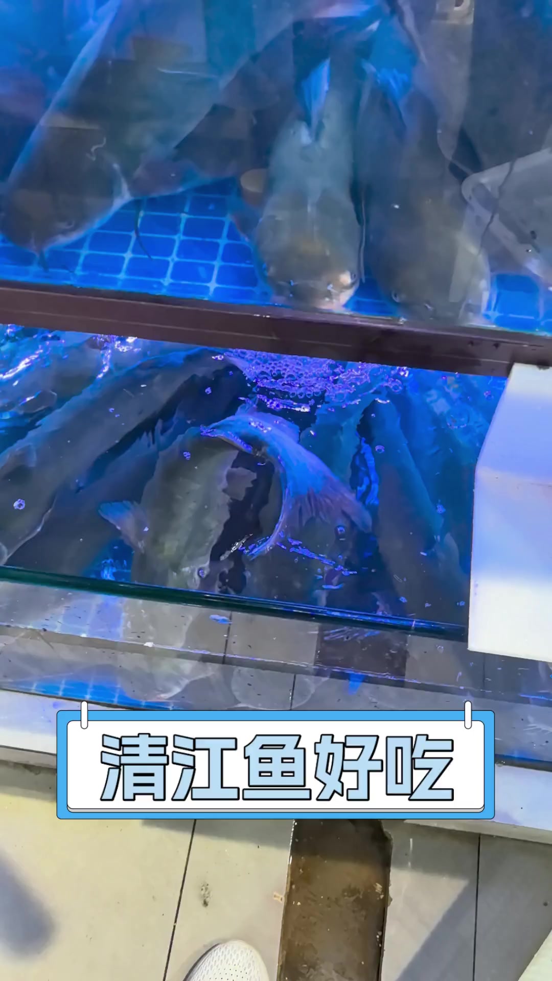 清江鱼好吃