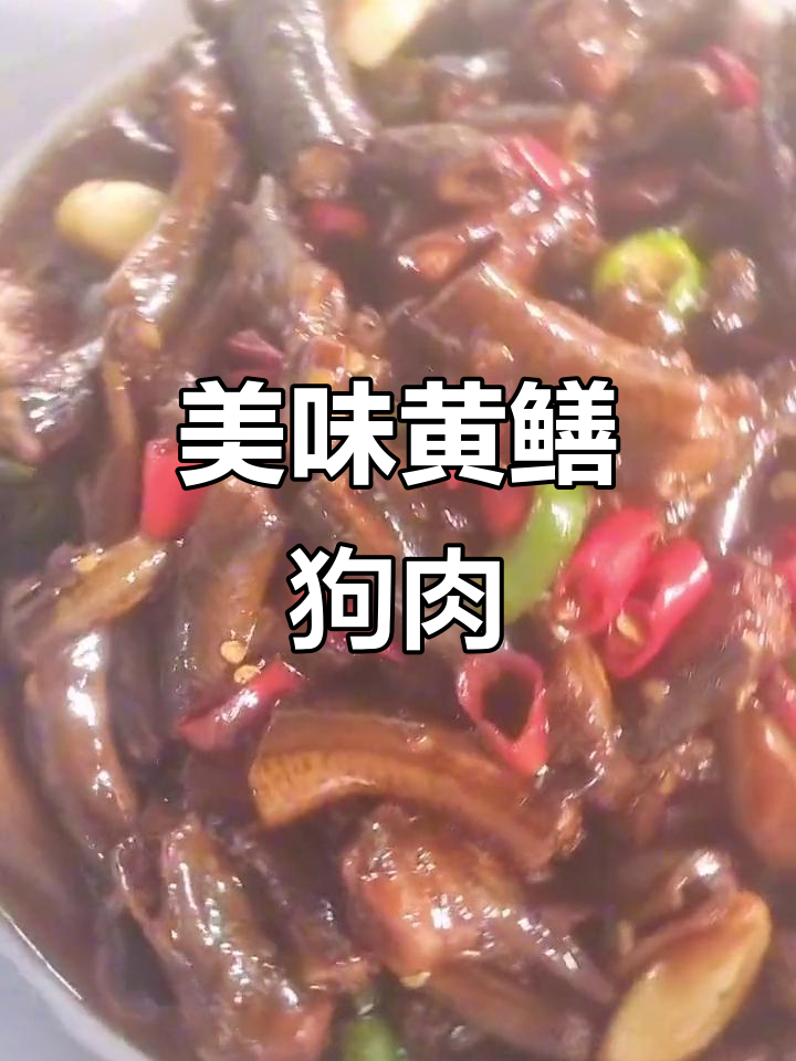 黄鳝狗肉老鸭,新鲜食材等你来尝