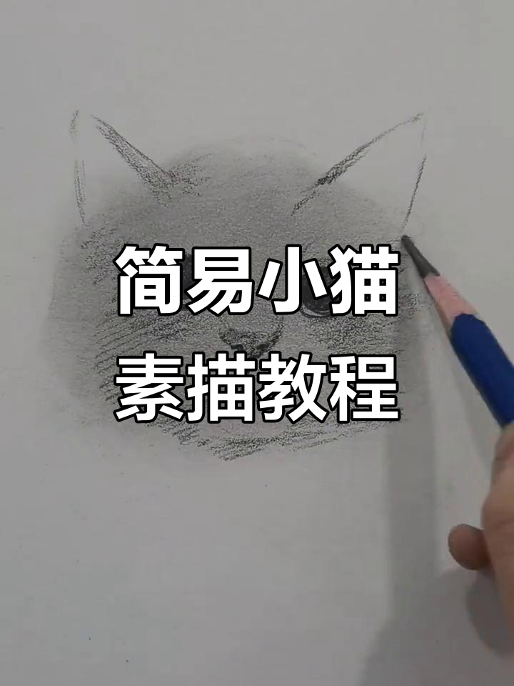 用简单步骤画可爱猫咪,轻松掌握素描技巧