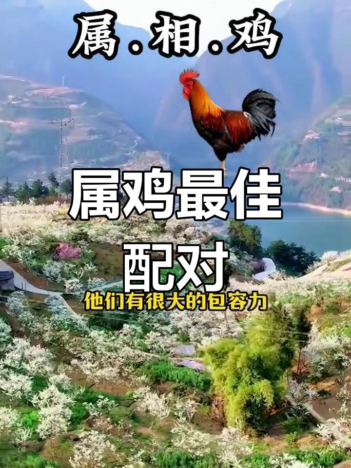 属鸡人最配的三大生肖