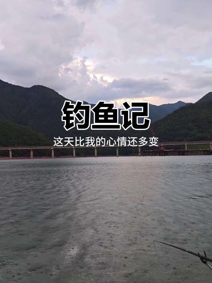钓鱼之旅:从白天到黑夜,收获满满