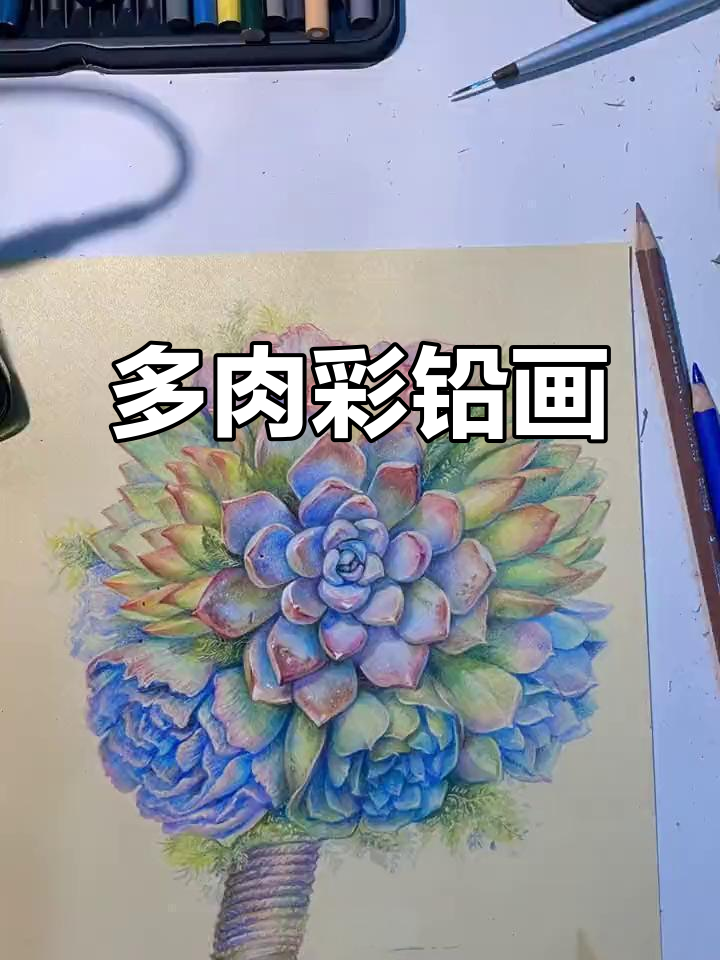 彩铅绘制多肉植物,细节满满,超有质感!