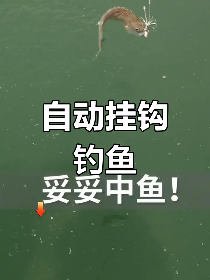 防挂底三叉钩,自动钓鱼神器