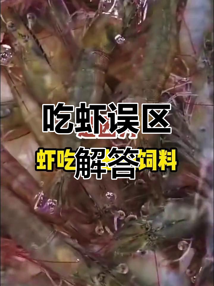 吃虾的真相揭秘:这些说法靠谱吗?