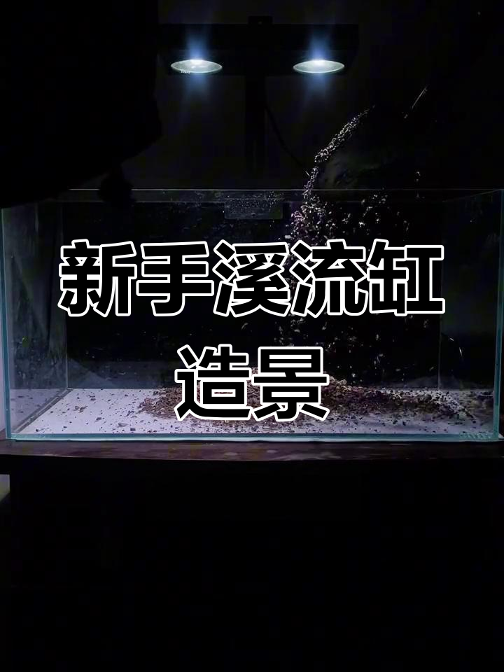 溪流缸造景全攻略,新手也能轻松上手