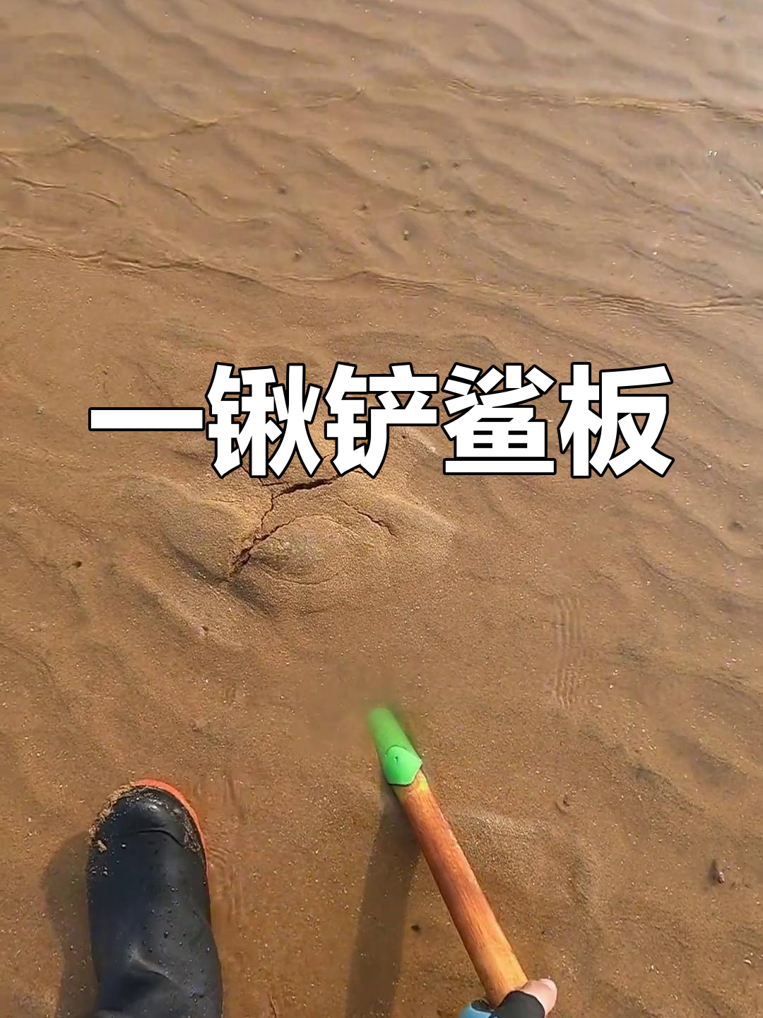 沙板鱼打水漂,海边生活乐趣多