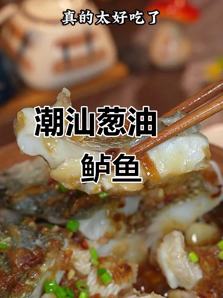 葱油焗鲈鱼，砂锅做法超简单，一上桌就被抢光！