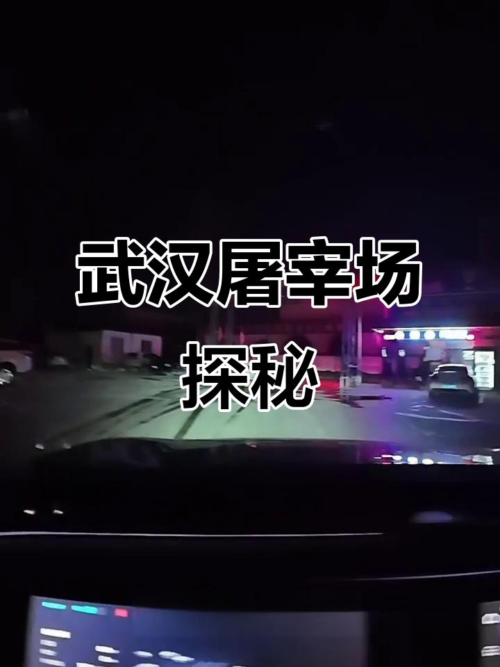 探访武汉最大屠宰场,热气腾腾牛肉直击心灵
