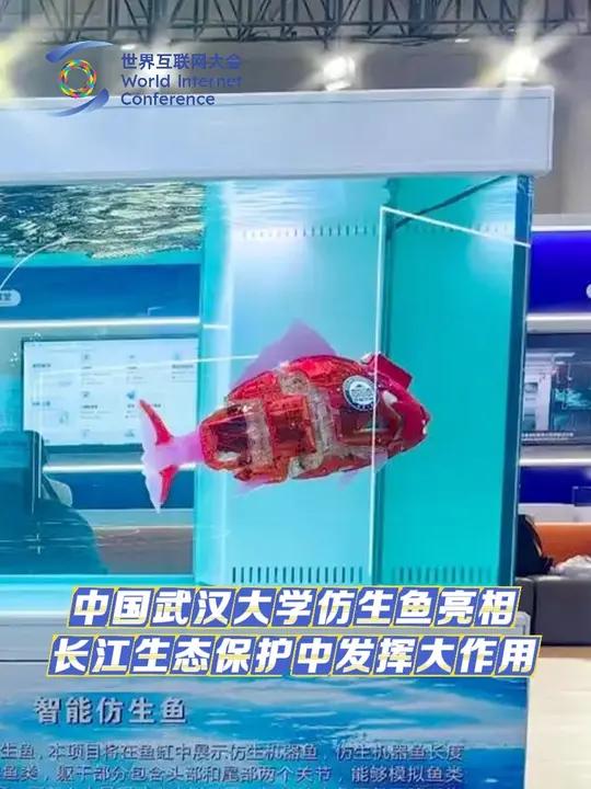 中国武汉大学仿生鱼亮相!长江生态保护中发挥大作用