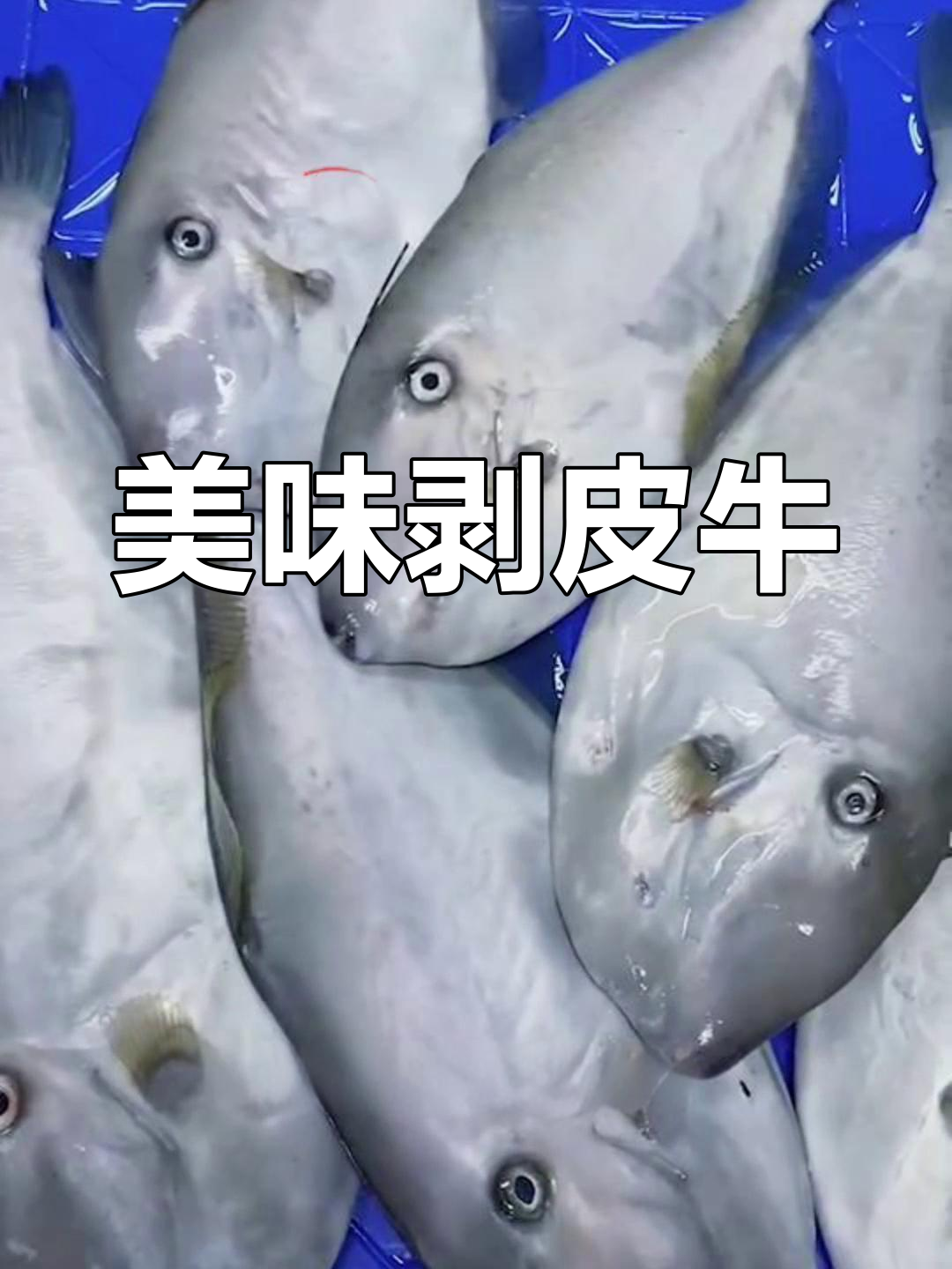 剥皮牛,肉质鲜美,夏秋最肥