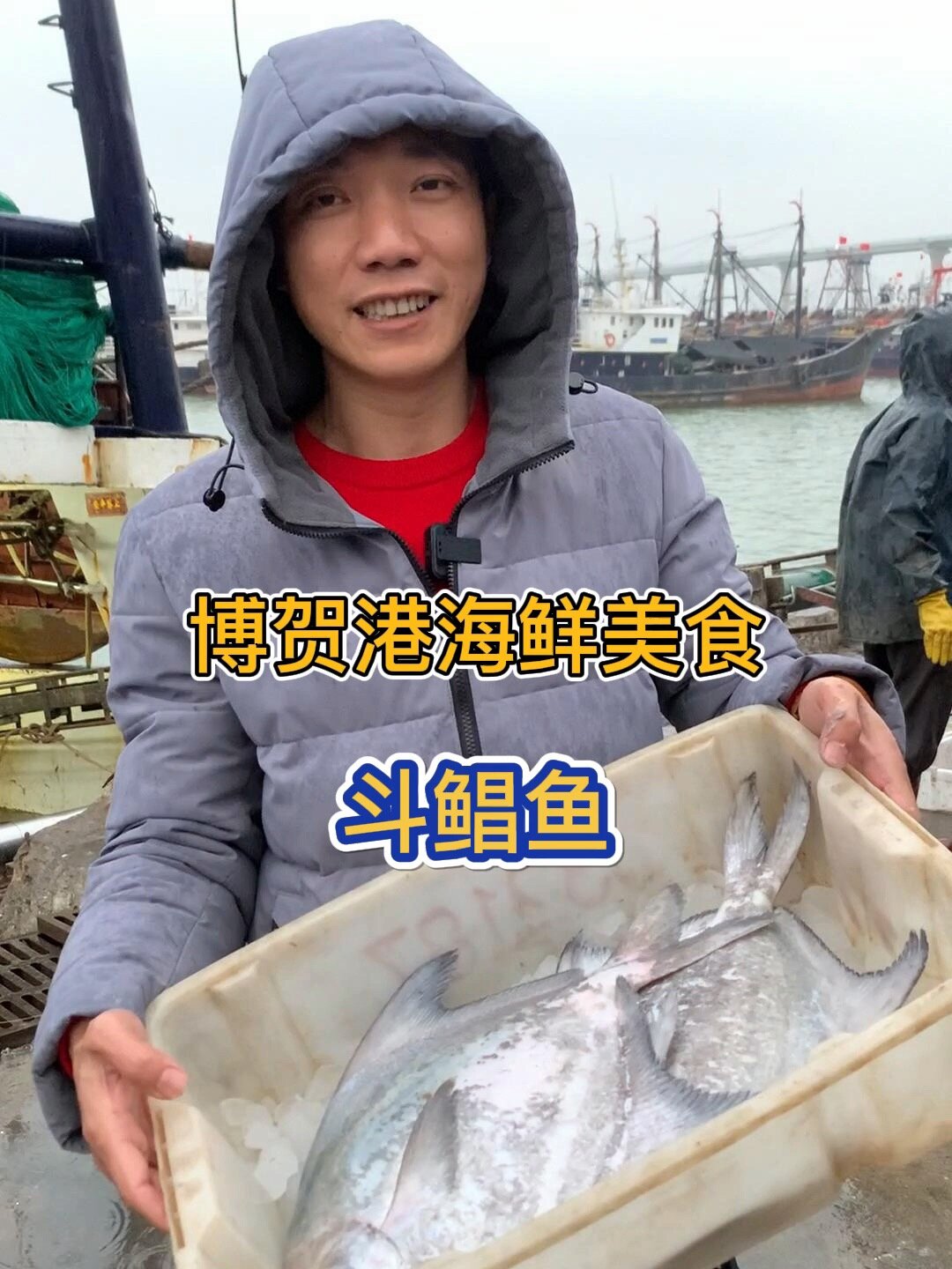 现在的斗鲳鱼,几百一斤不一定拿得到新鲜的