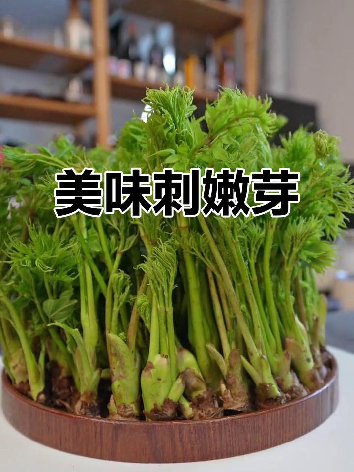 东北刺嫩芽:鲜美木本蔬菜,老人小孩都爱吃